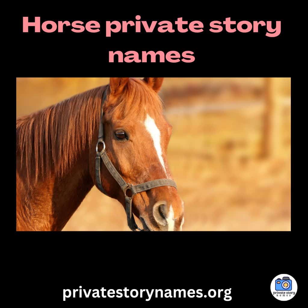 horse private story names